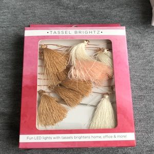 Tassel LED lights!